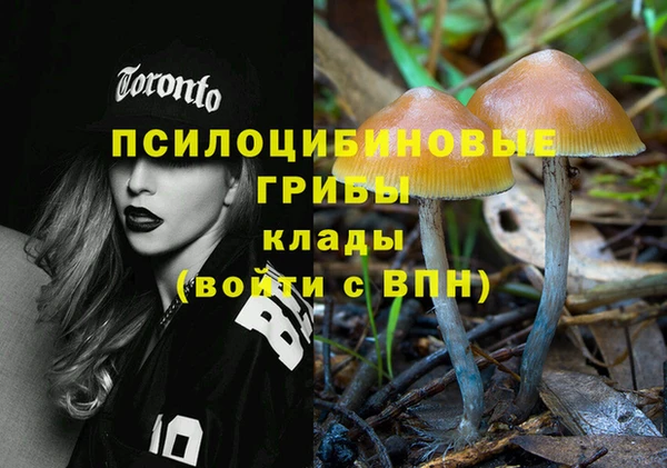 PSILOCYBIN Кулебаки