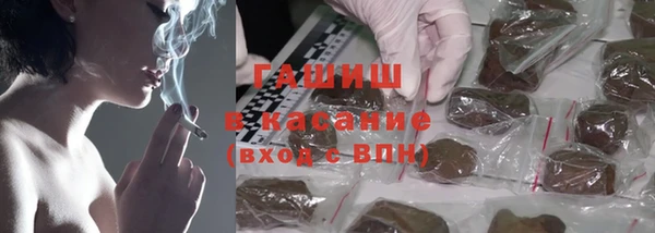 PSILOCYBIN Кулебаки